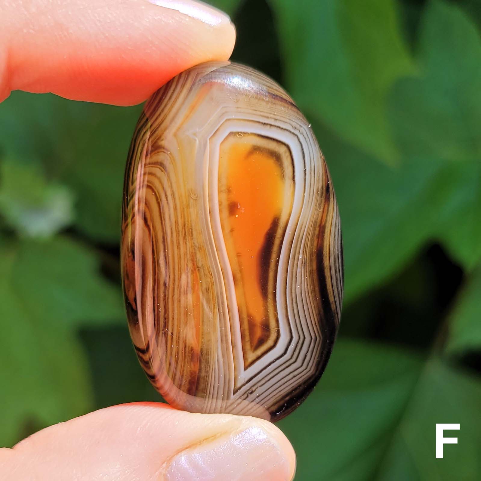 Banded Agate Pocket Stone Pebble F