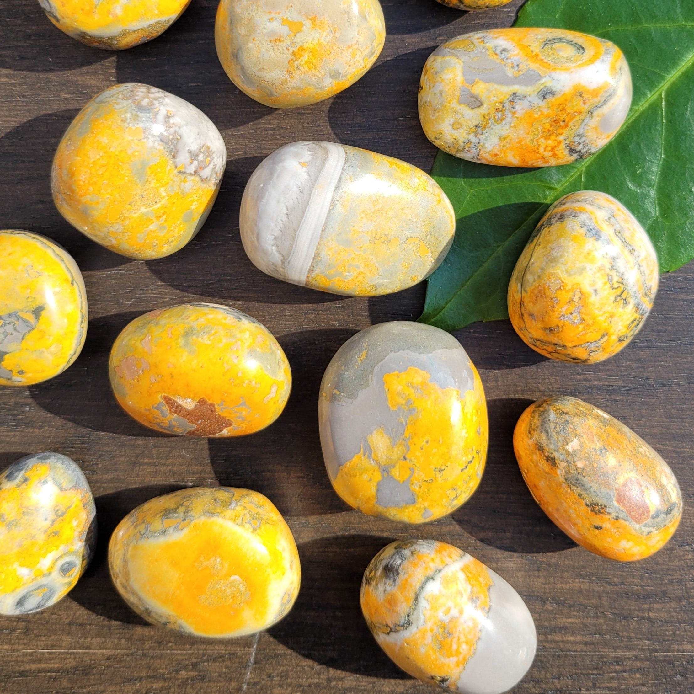 Bumblebee Jasper Tumblestones