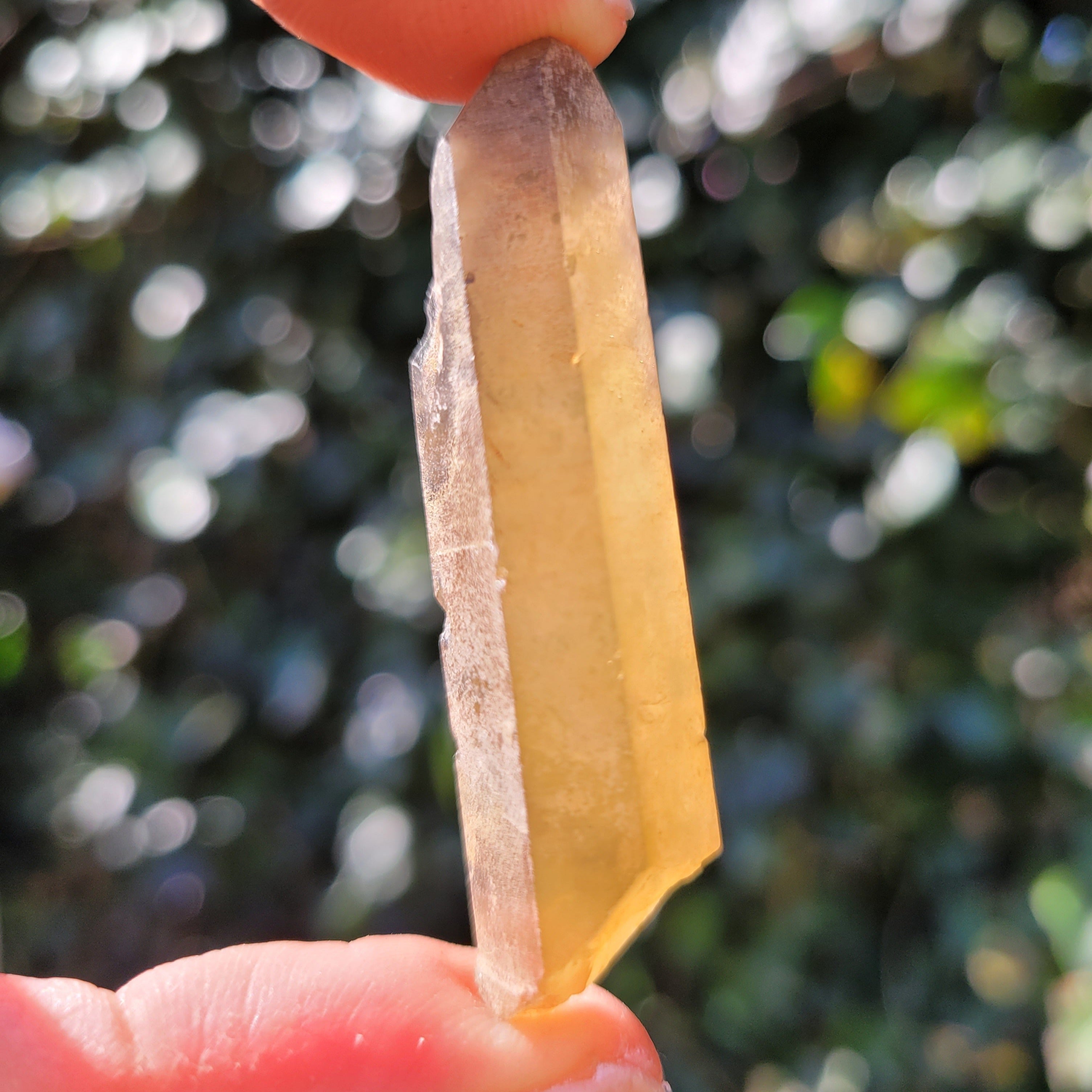 Raw Natural Citrine Point