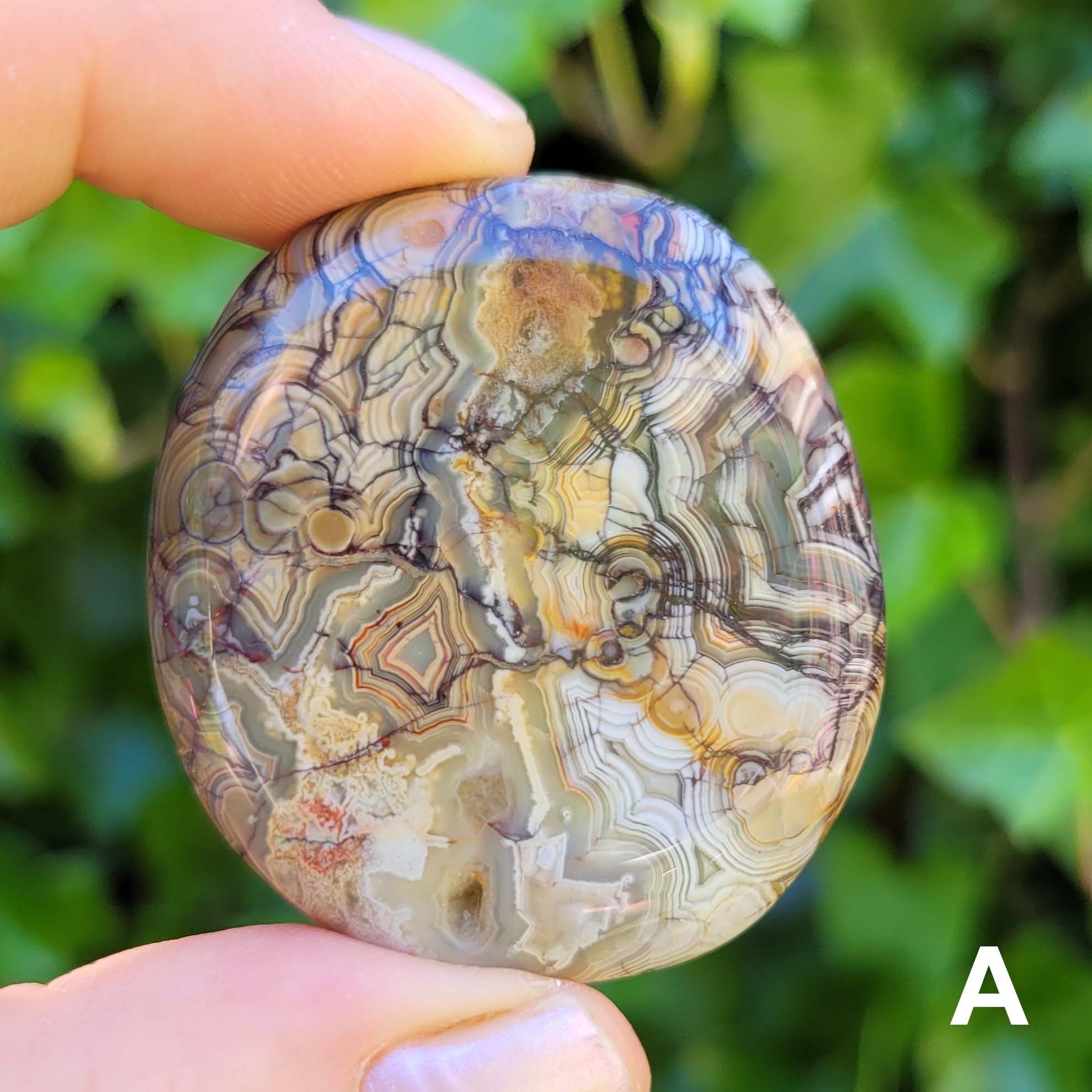 Crazy Lace Agate Pocket Stone A