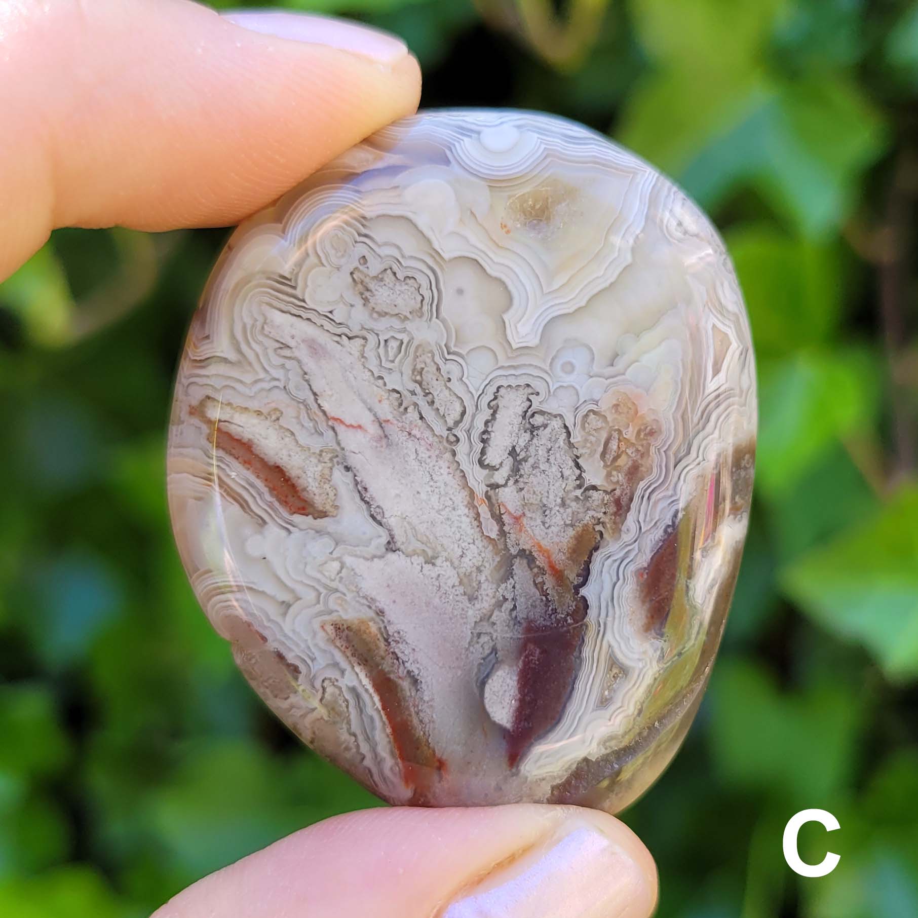 Crazy Lace Agate Pocket Stone C