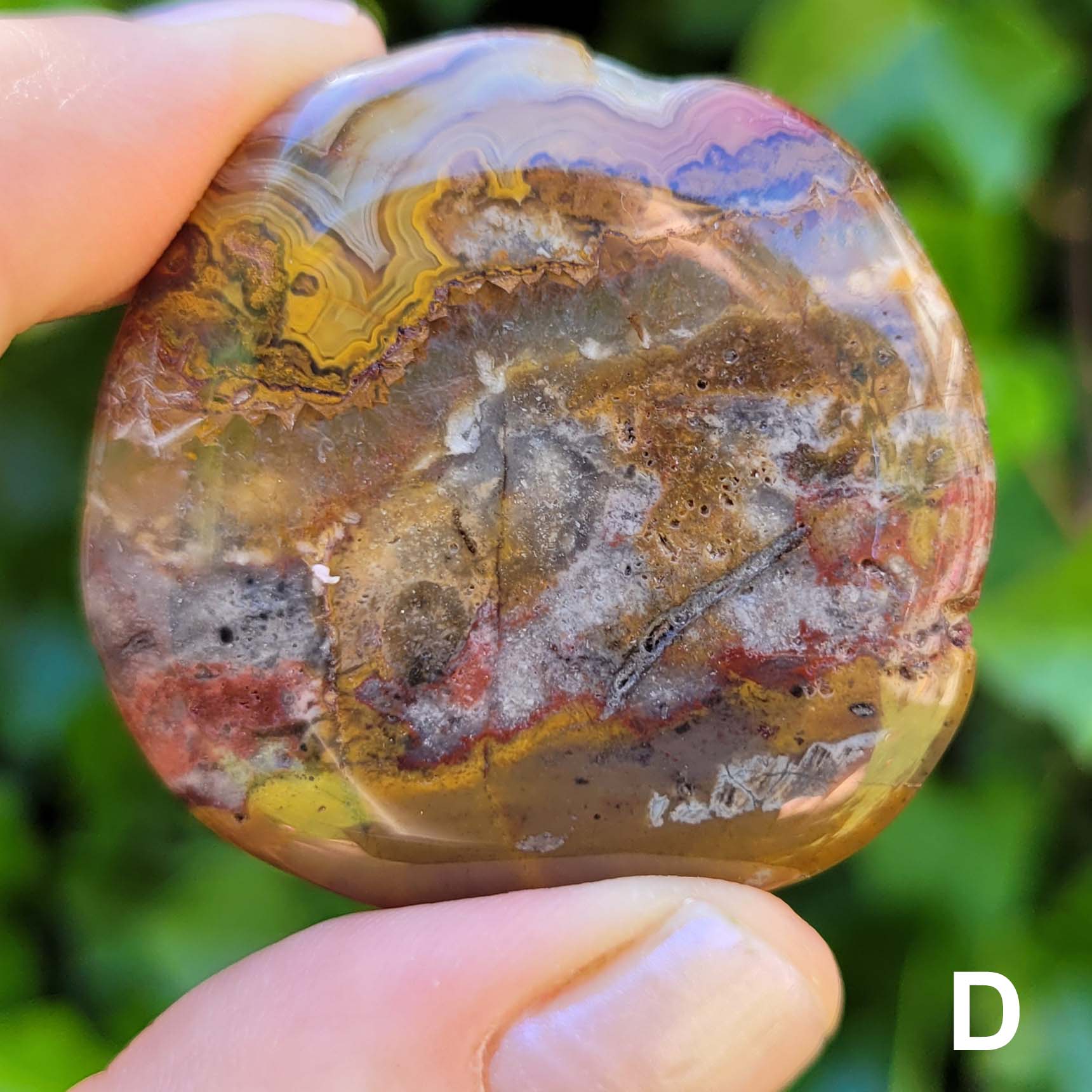 Crazy Lace Agate Pocket Stone D