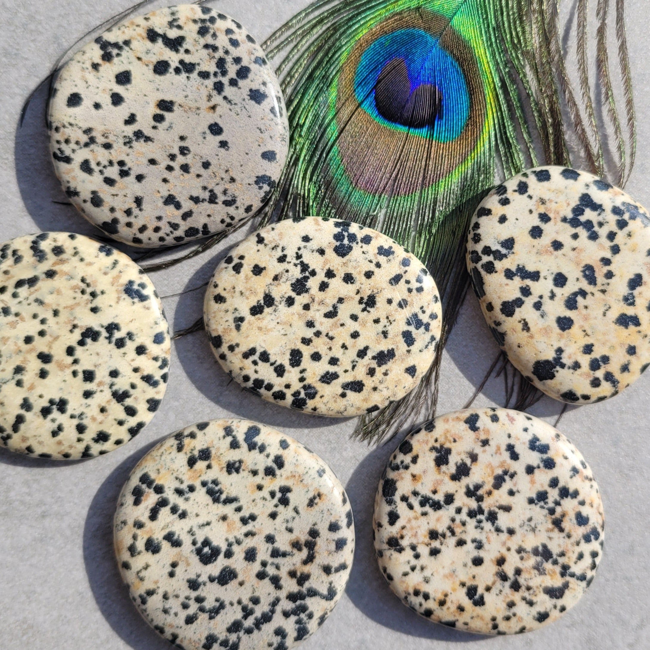 Dalmatian Jasper Pocket Stones Disc