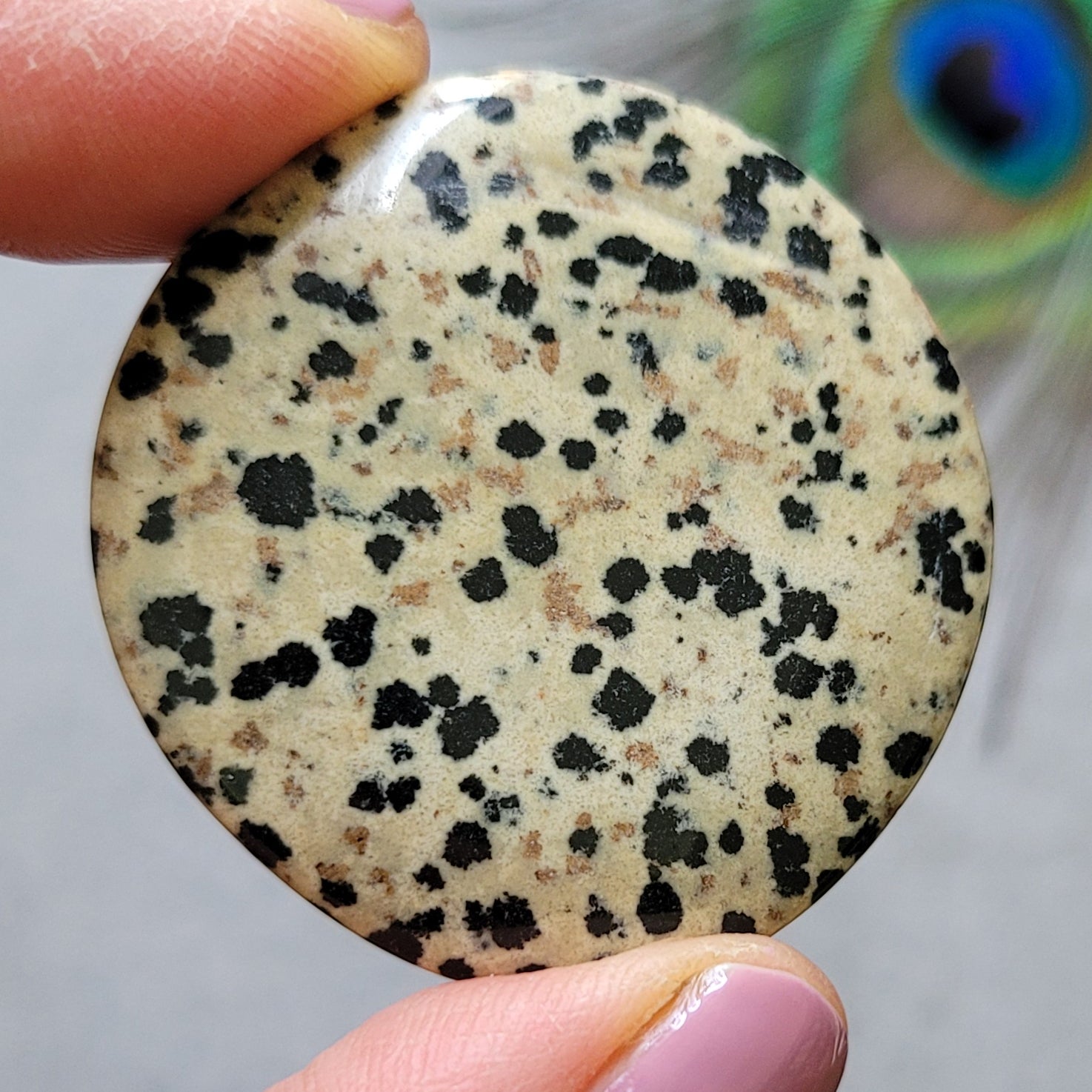 Dalmatian Jasper Pocket Stone Disc