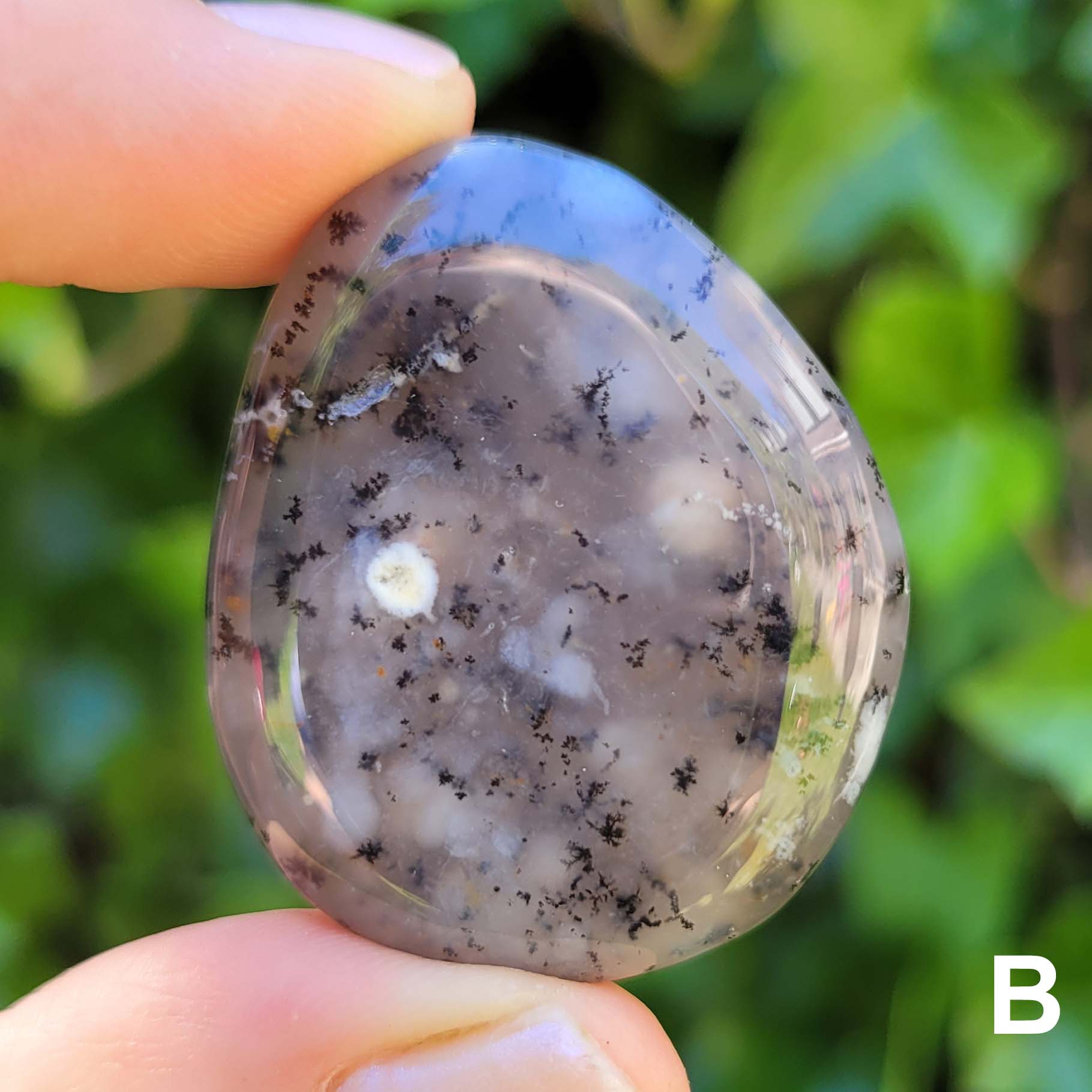 Dendritic Opal Pocket Stone B