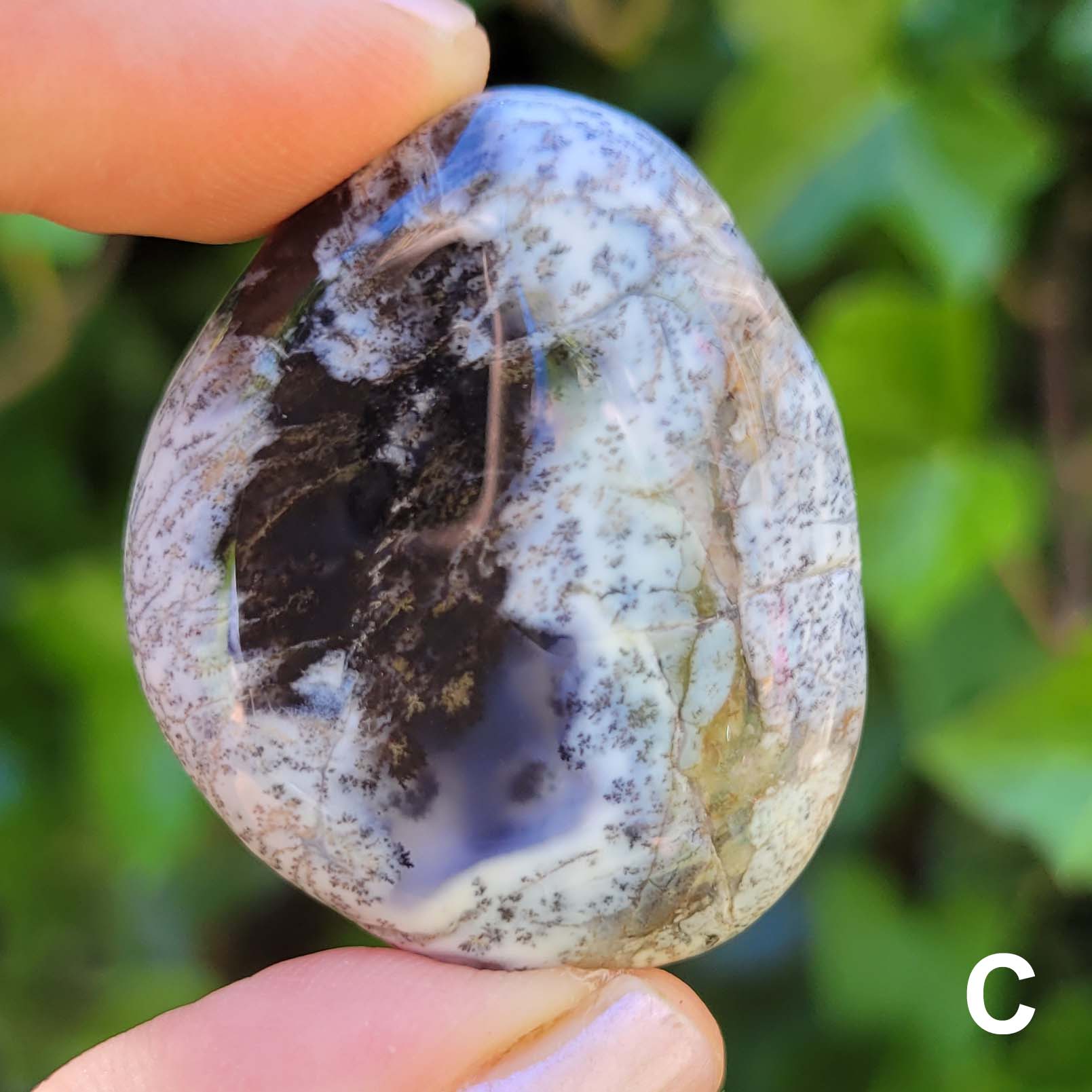 Dendritic Opal Pocket Stone C