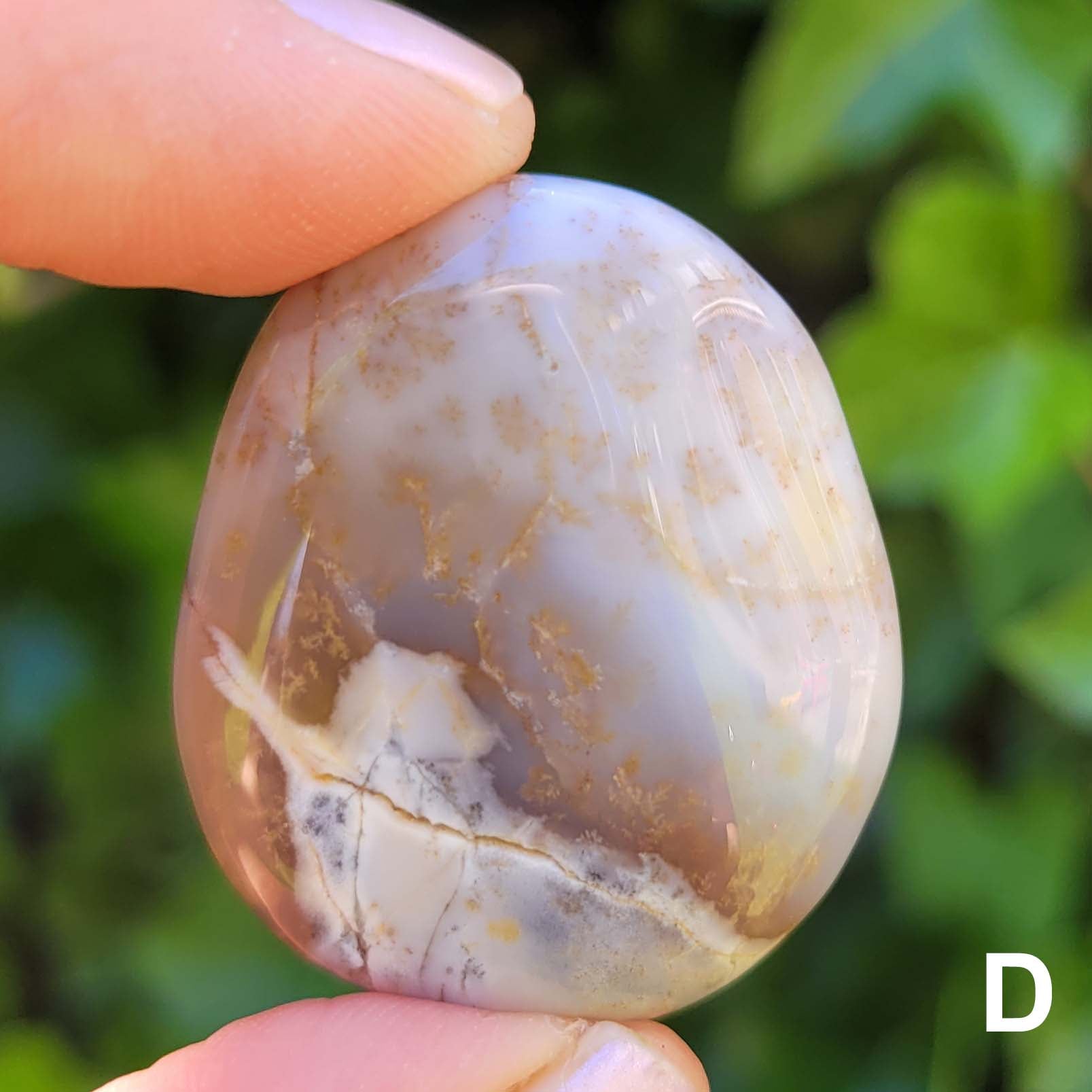 Dendritic Opal Pocket Stone D