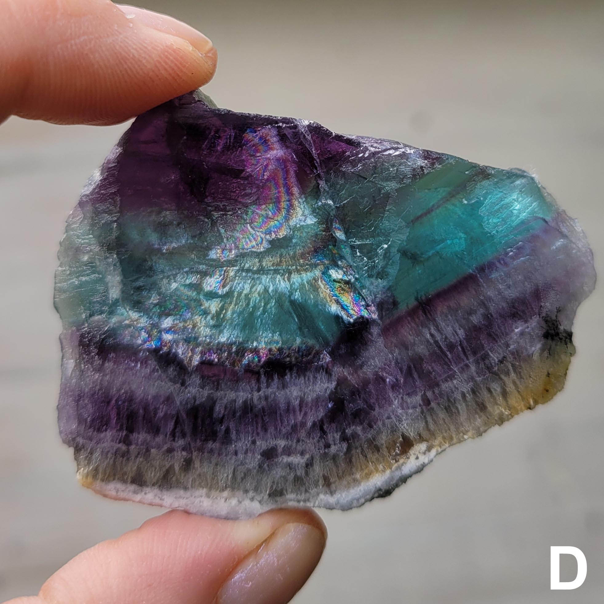Rainbow Fluorite Slice D