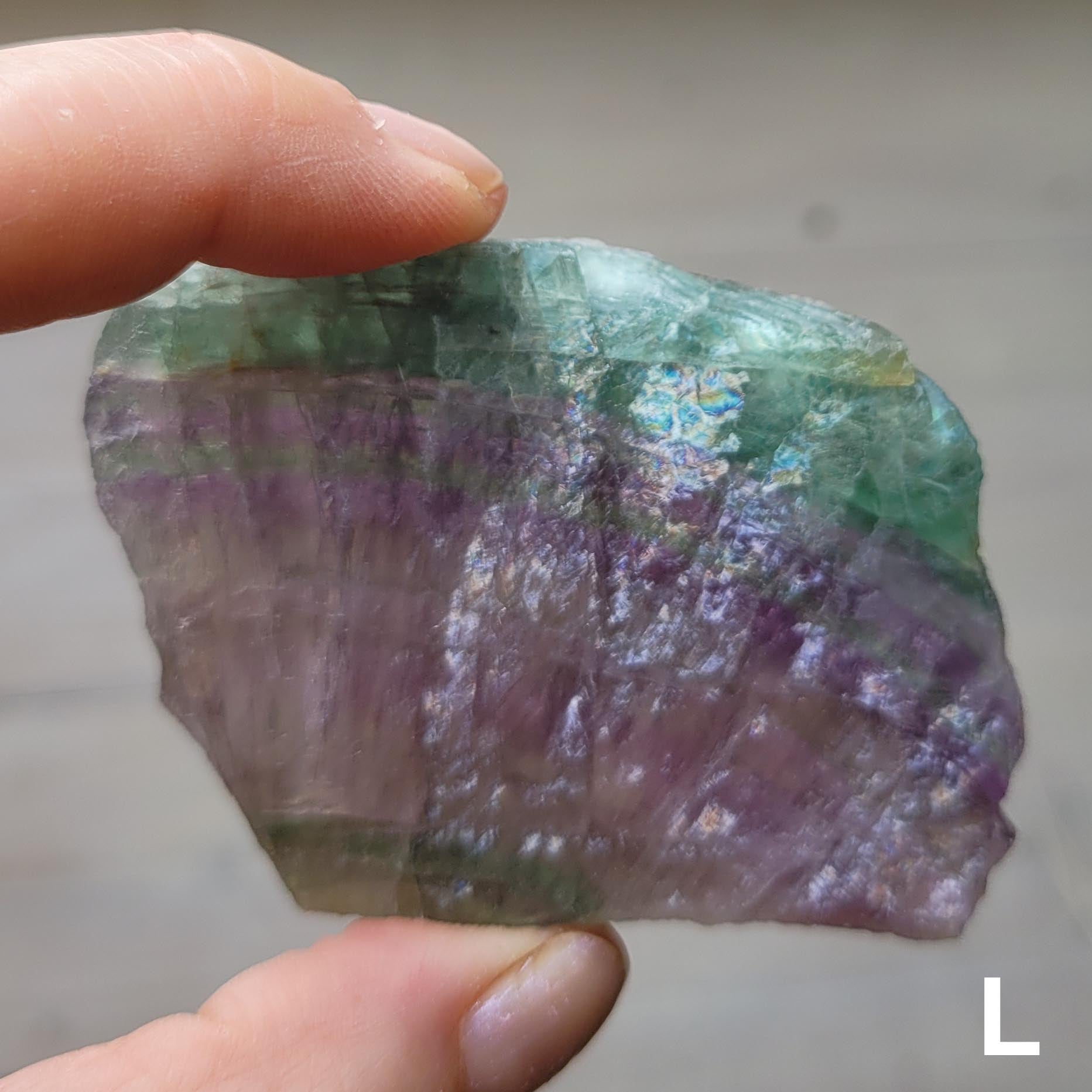Rainbow Fluorite Slice L