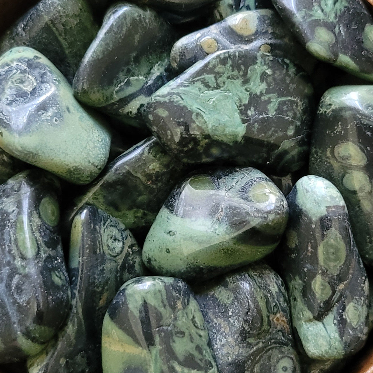Kambaba Jasper Tumblestones