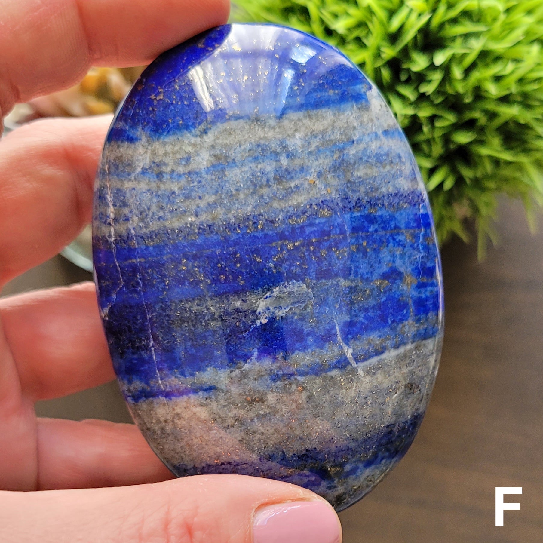 Lapis Lazuli Palmstone F