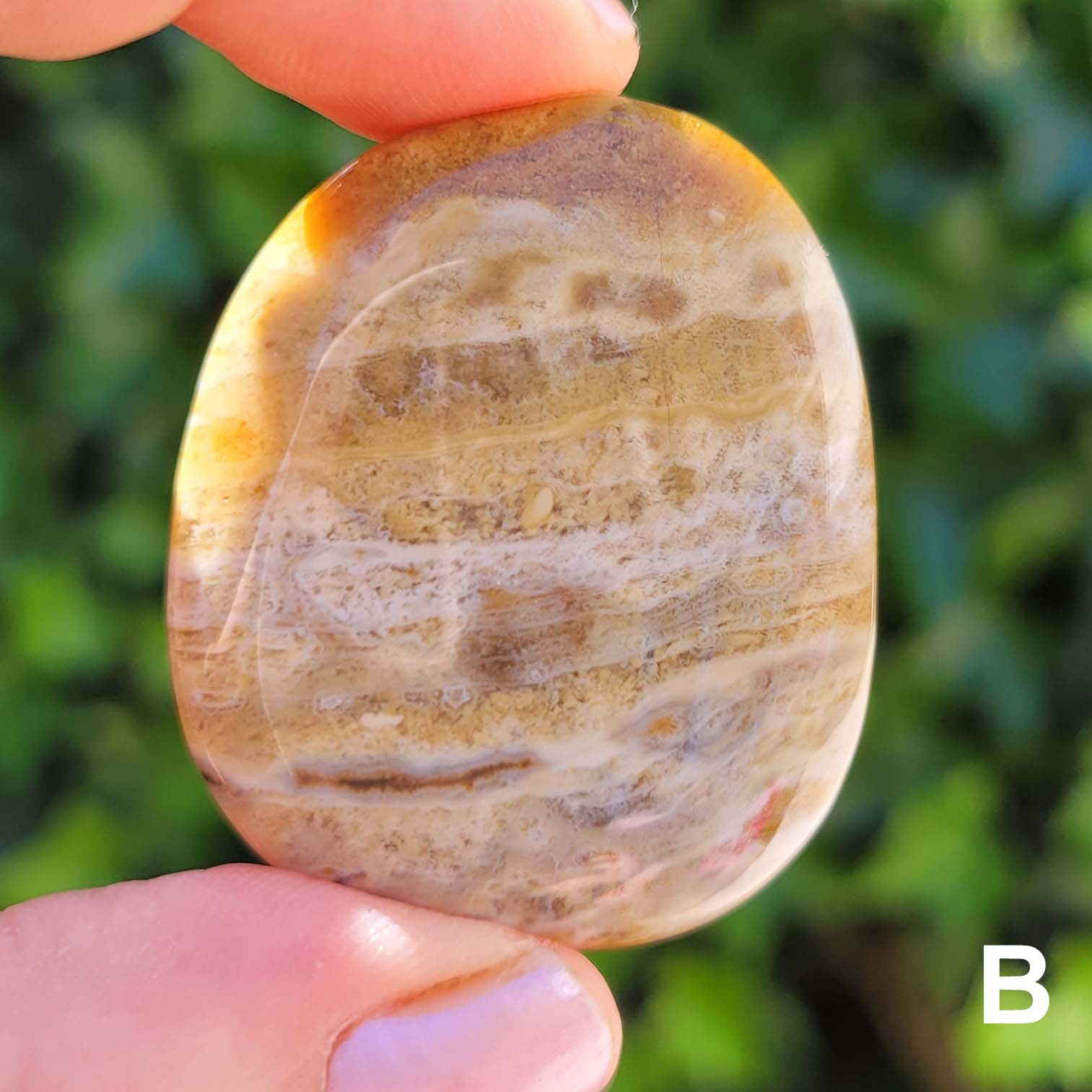 Ocean Jasper Pocket Stone B