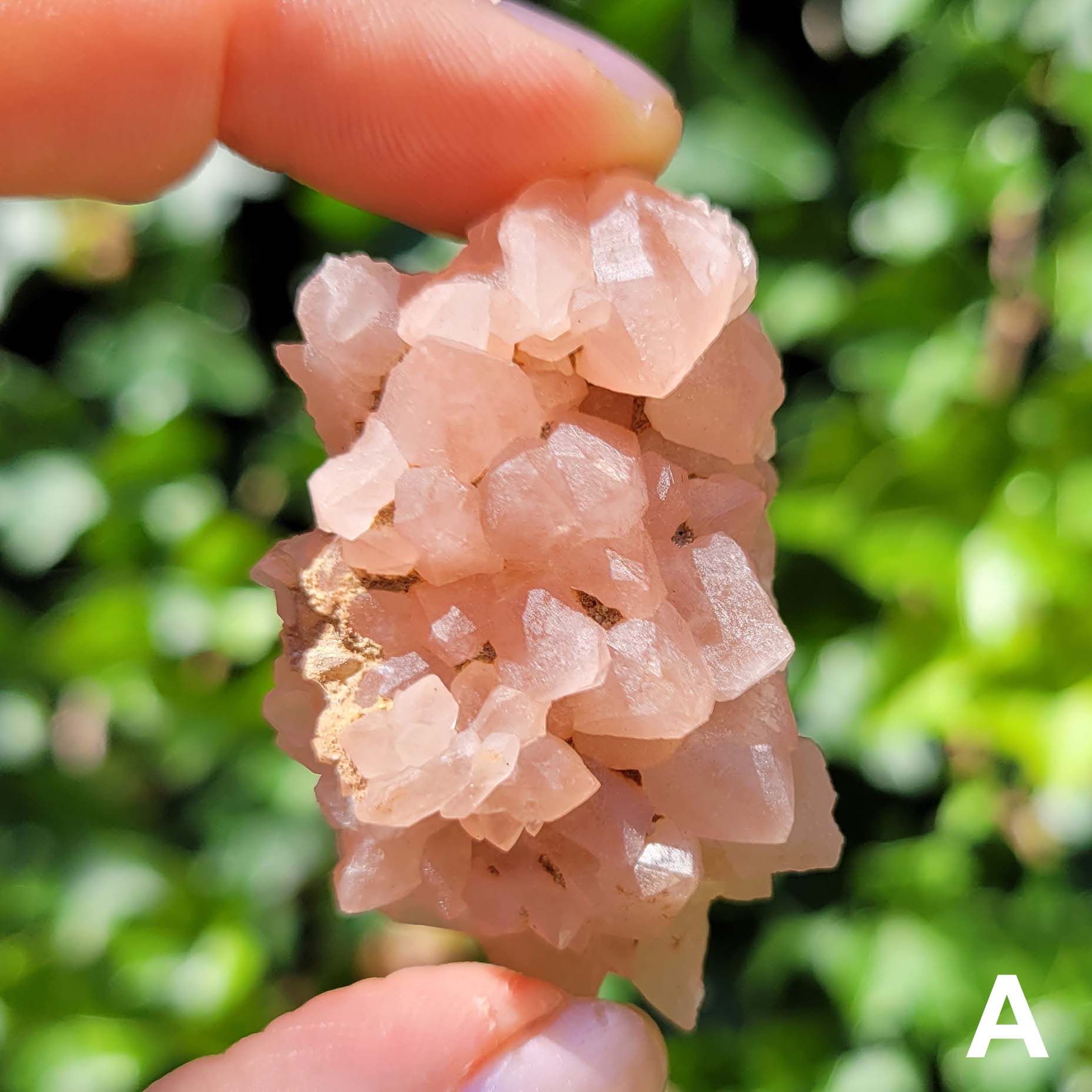 Pink Amethyst Cluster A