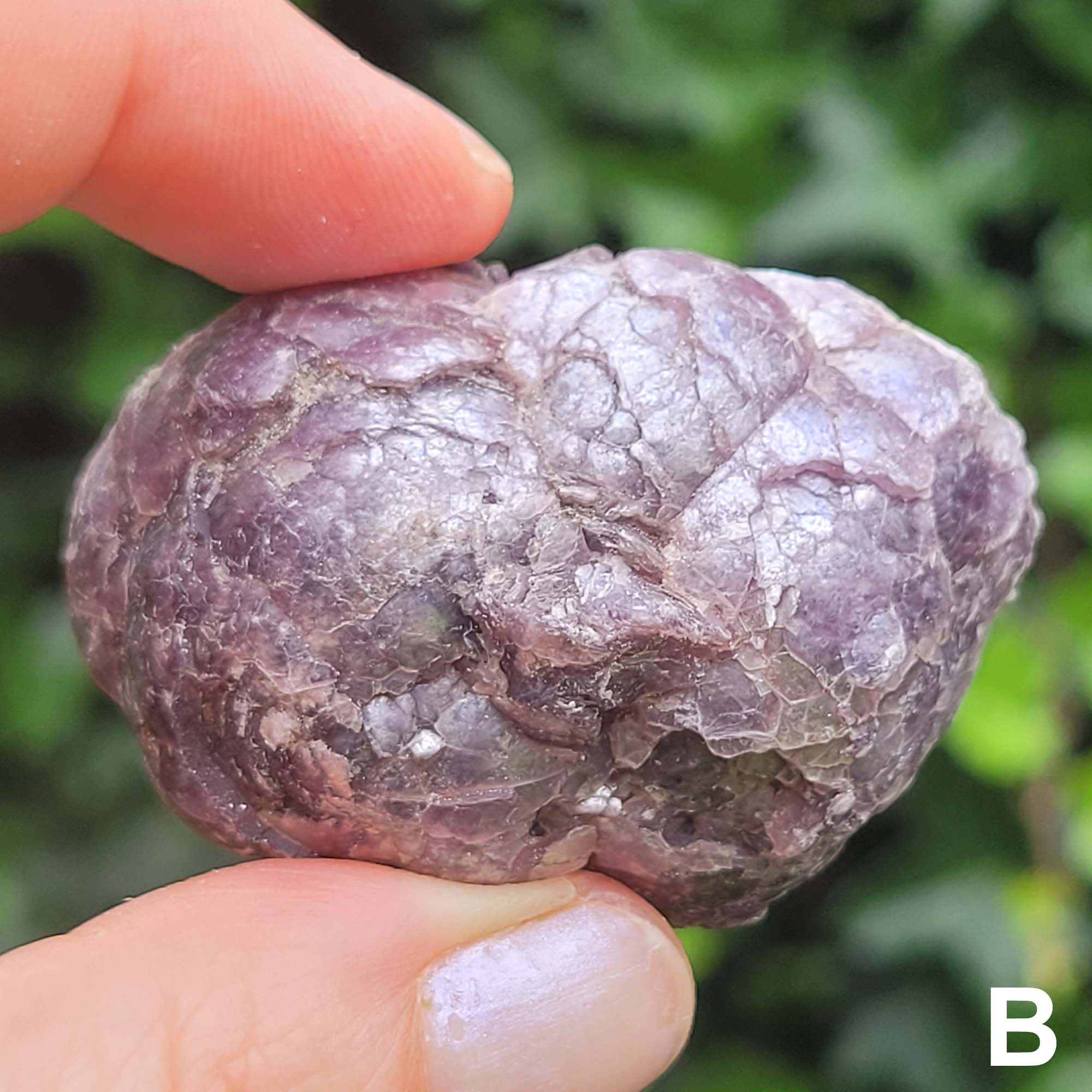 Raw Lepidolite B
