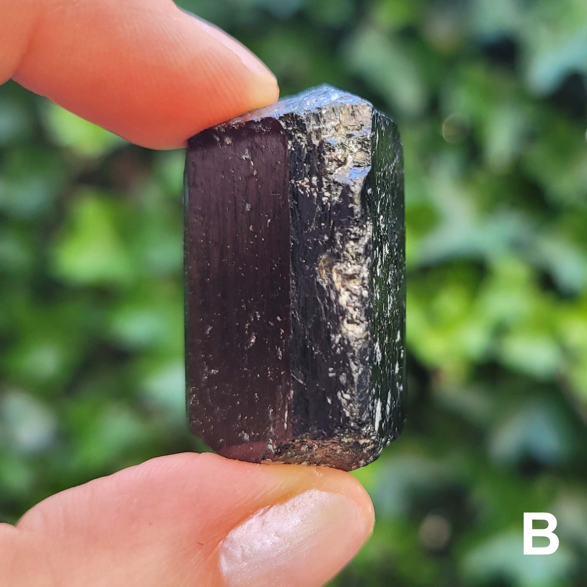 Raw Natural Tourmaline Point B