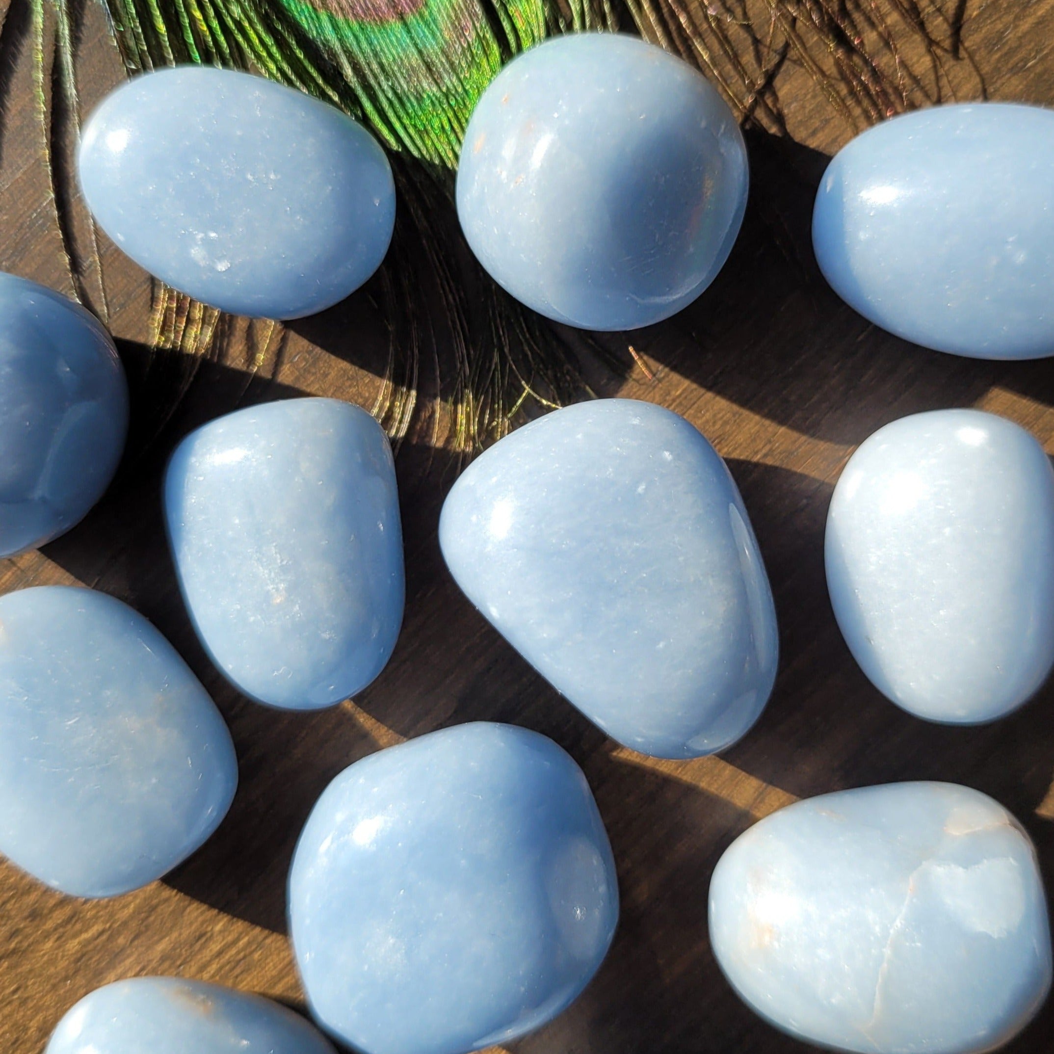 Blue Angelite Tumblestones Peru