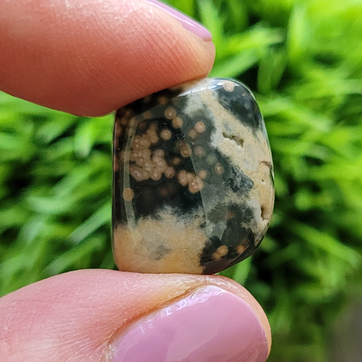 Oceaanjaspis, trommelsteen (Small)